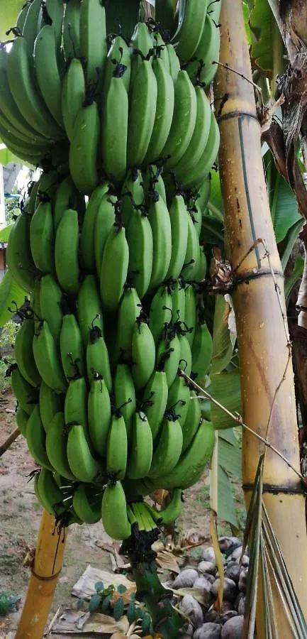 Karthik Villa Varkala